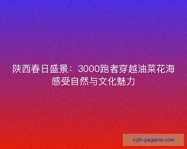 陕西春日盛景：3000跑者穿越油菜花海感受自然与文化魅力