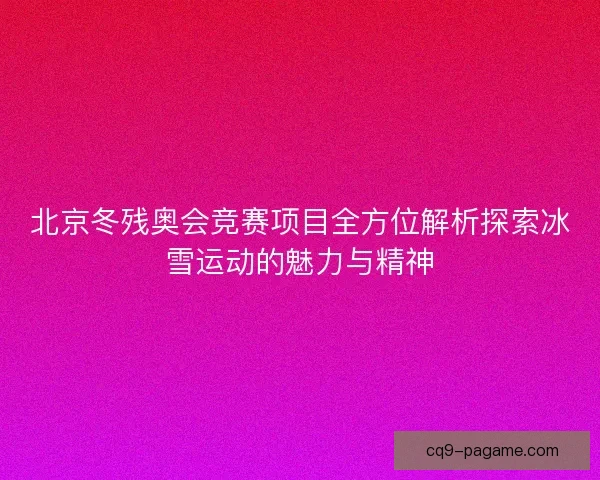 北京冬残奥会竞赛项目全方位解析探索冰雪运动的魅力与精神