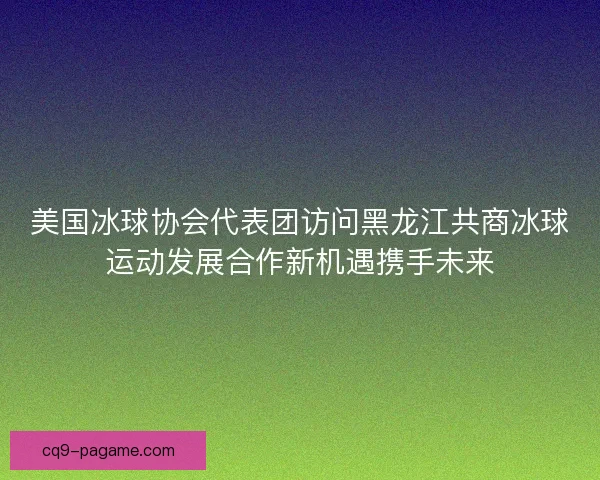 美国冰球协会代表团访问黑龙江共商冰球运动发展合作新机遇携手未来