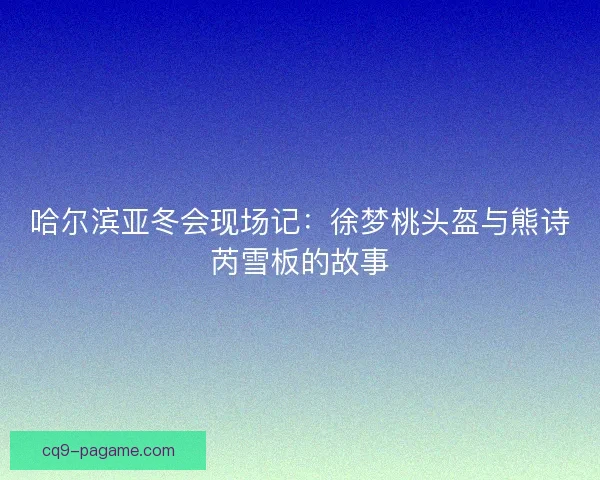 哈尔滨亚冬会现场记：徐梦桃头盔与熊诗芮雪板的故事